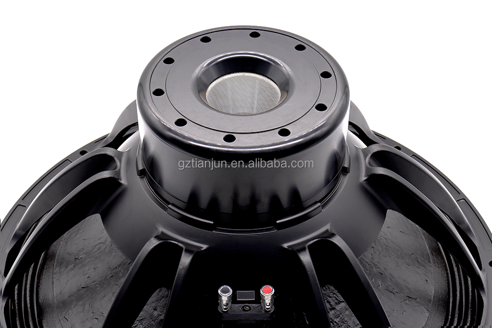 21'' Professional Audio System - đánh giá và giá Subwoofer