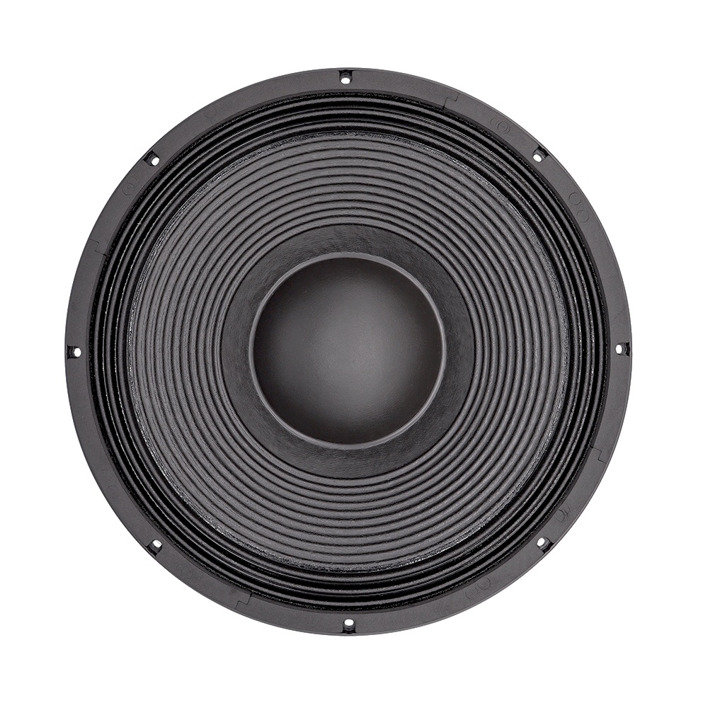 21'' Professional Audio System - đánh giá và giá Subwoofer